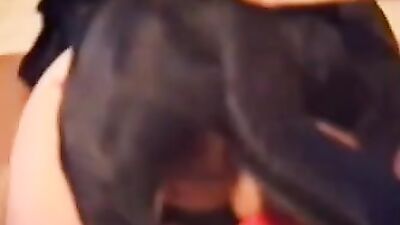 Dog porn video: chessie moore dog porn zoo