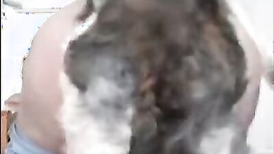 Sex animal's: hentai monster dog porn