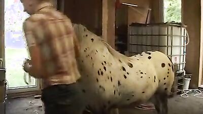 Zoo porn video: lara croft bestiality