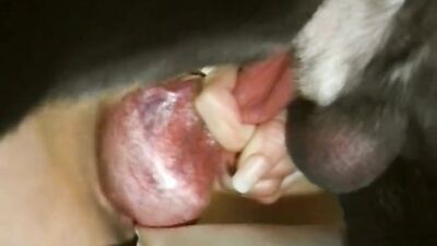 Bestiality manga: anımal porno