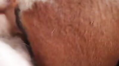 Zoo porn man: alison zoo porn