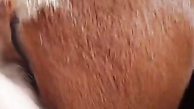 Zoo porn man: alison zoo porn