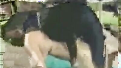 Girls 5 dogs: dogs creampie girl