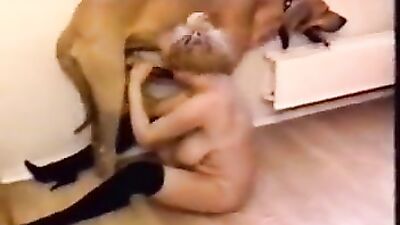 Zoo horse porn: sex dogs hard