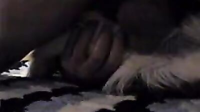 Art of zoo porno: ai bestiality