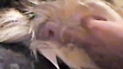 Art of zoo porno: ai bestiality