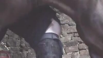 Animal porn: video bokep sex animals