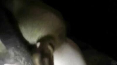 3d dog sex: 3d hentai bestiality porn