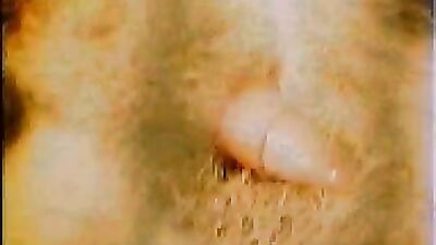 Dog pussy girls: animal sex r34