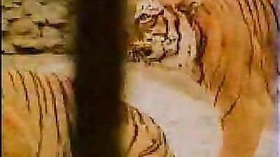 Dog pussy girls: animal sex r34