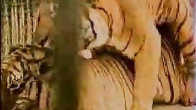 Dog pussy girls: animal sex r34