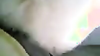 Dog gay porn: animal crossing porn games