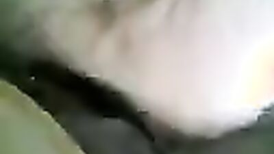 Dog gay porn: animal crossing porn games