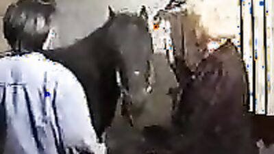 Girls s dogs: bestiality piss porn