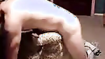 Animal cross porn: having sex with animals