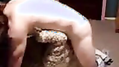 Animal cross porn: having sex with animals