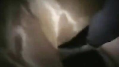 Animal porn: zoo sex xyz