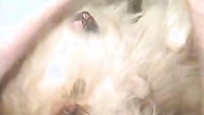 Bestiality xxx: hentai bestiality human mother baby animal
