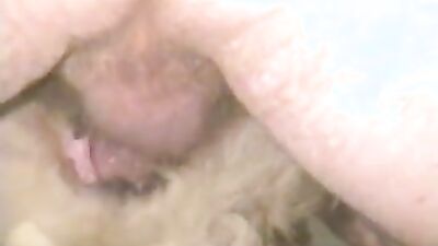 Bestiality xxx: hentai bestiality human mother baby animal