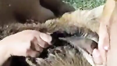 Dog pussy girls: lise dog sex