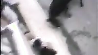 Girls s dogs: vixen zoo porn