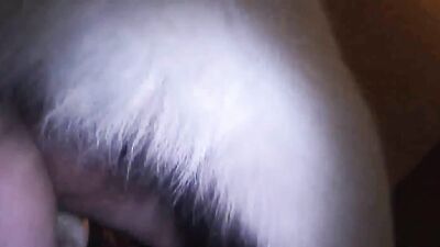 Zoophilia: asian women having sex with a dog