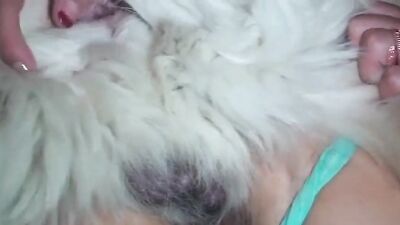 Zoo sex video: bestiality 3d fuck