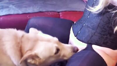 Dog sex: animal porn men