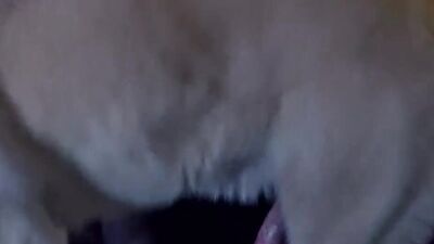 Dog sex: animal porn men