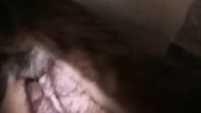 Zoo dog sex: feral dog porn