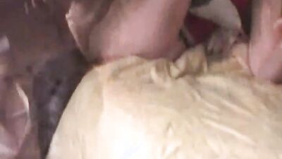 Zoo fuck porn: girl love dog cocks