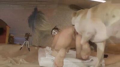 Girl having dog: zoo porn guy
