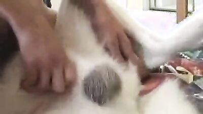 Porn comics bestiality: sexy dogs porn