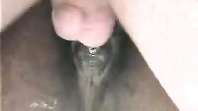 Zoo porn 2026: art of zoo dog fuck