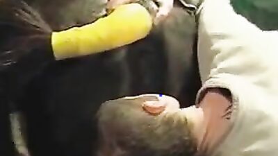 Zoo dog sex: veronica silesto dog sex video