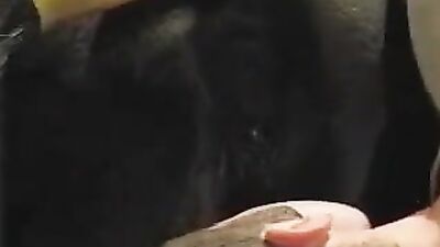 Zoo dog sex: veronica silesto dog sex video