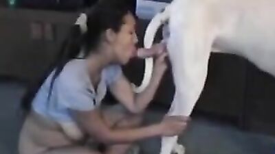Zoo sex video: 3d zoo sex comix