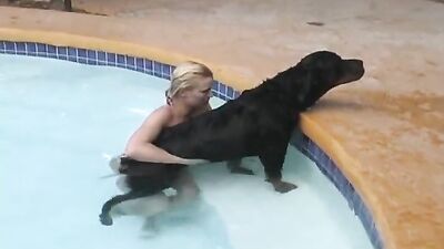 Dog porn video: bestiality rule