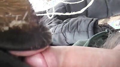 Dog porn: dog fuck girl porno