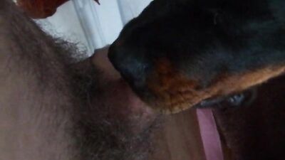 Dog girl porn: zoophilia compilation