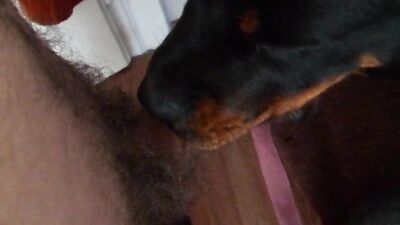 Dog girl porn: zoophilia compilation