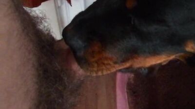 Dog girl porn: zoophilia compilation