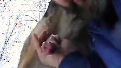Bestiality porn: zoophilia bestiality porn