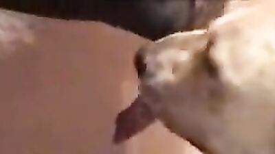 Dog teen girls: girl and dog sex 2026