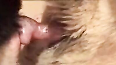 Dog teen girls: girl and dog sex 2026