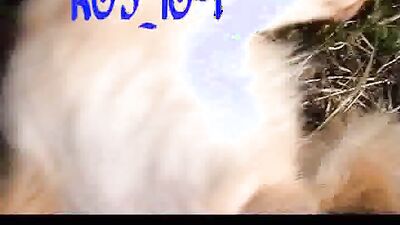 Zoo dog porn: bestiality pregnant comics