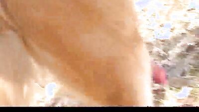 Zoo dog porn: bestiality pregnant comics
