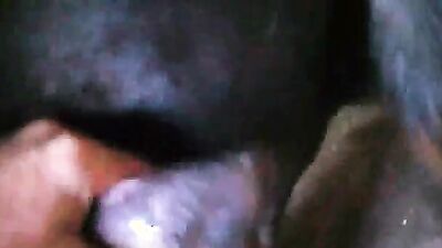 Animal crossing porn: bestiality cum
