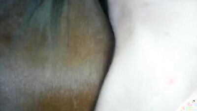 Zoo sex: dogging porn full