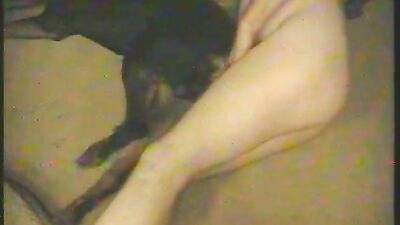 Zoophilia porno: animal pussy sex